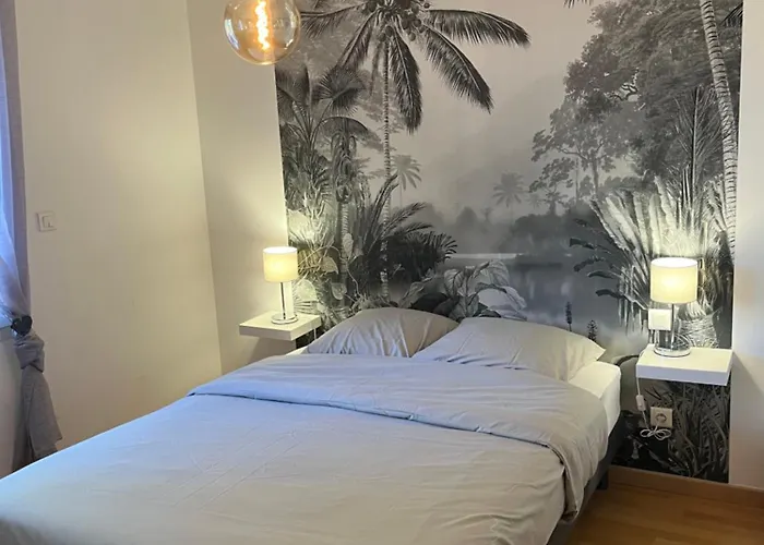 Maison A Biscarrosse Avec Piscine Et Jacuzzi